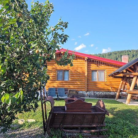 Cabana Alesia, Relaxare La Poalele Raraului 큼홀룸그몰도베네스크 외부 사진