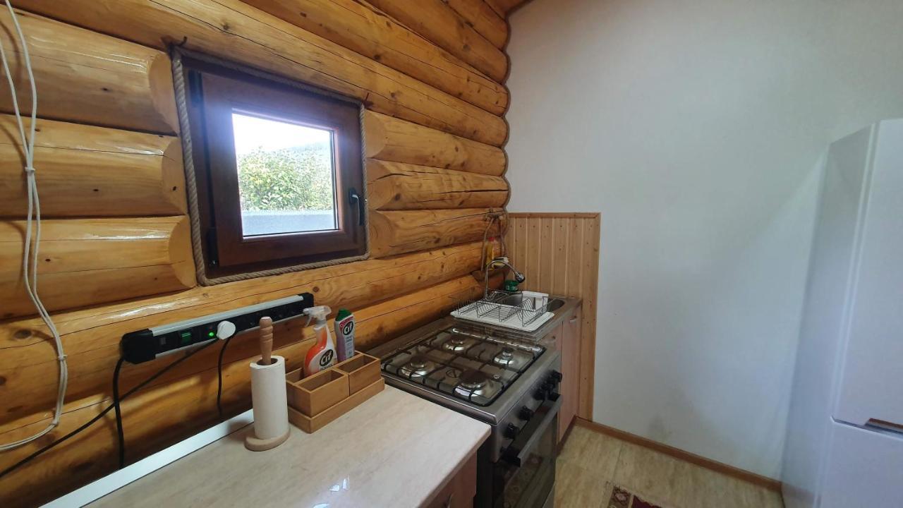Cabana Alesia, Relaxare La Poalele Raraului 큼홀룸그몰도베네스크 외부 사진